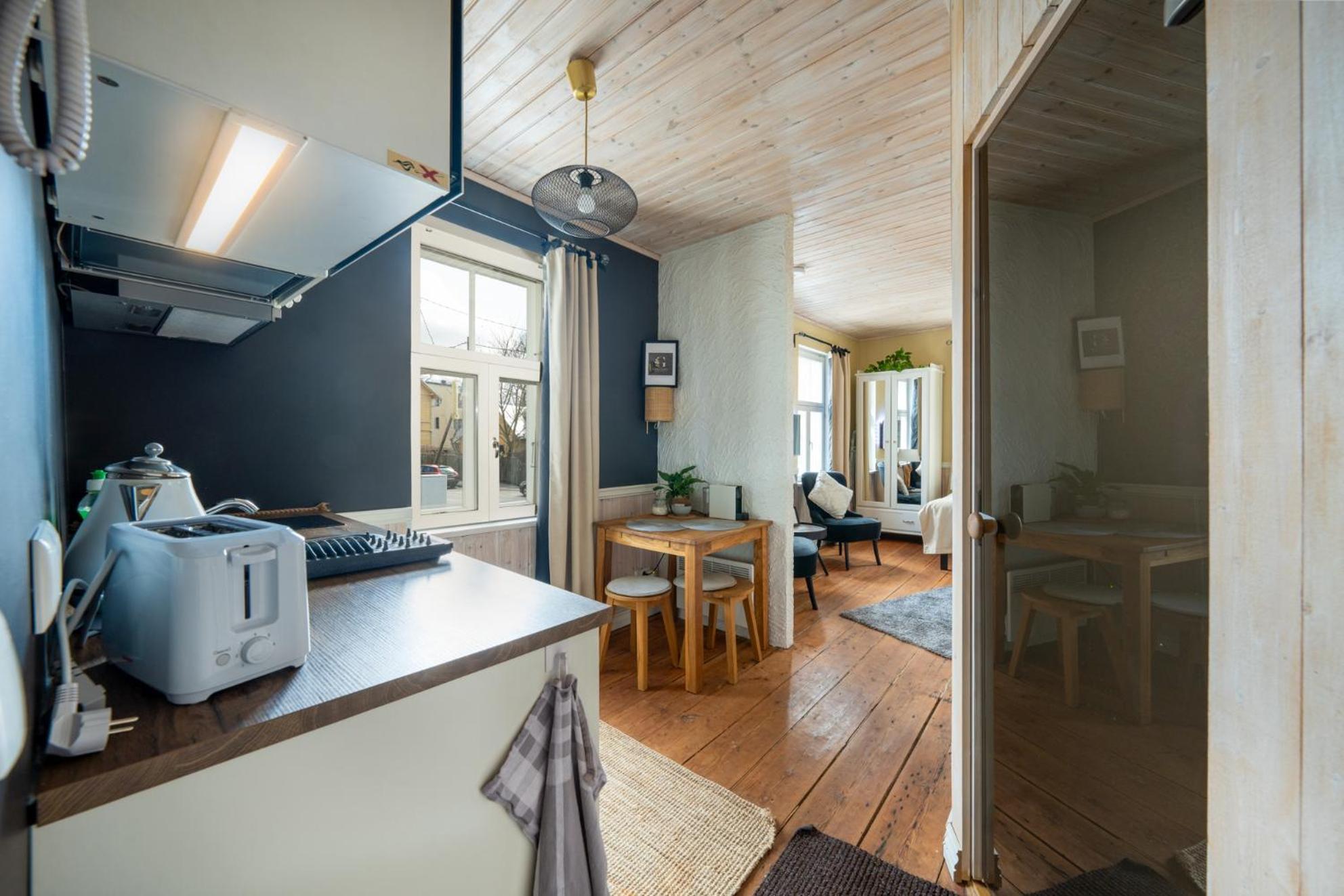 Garden Studio Next To Telliskivi & Old Town 塔林 外观 照片