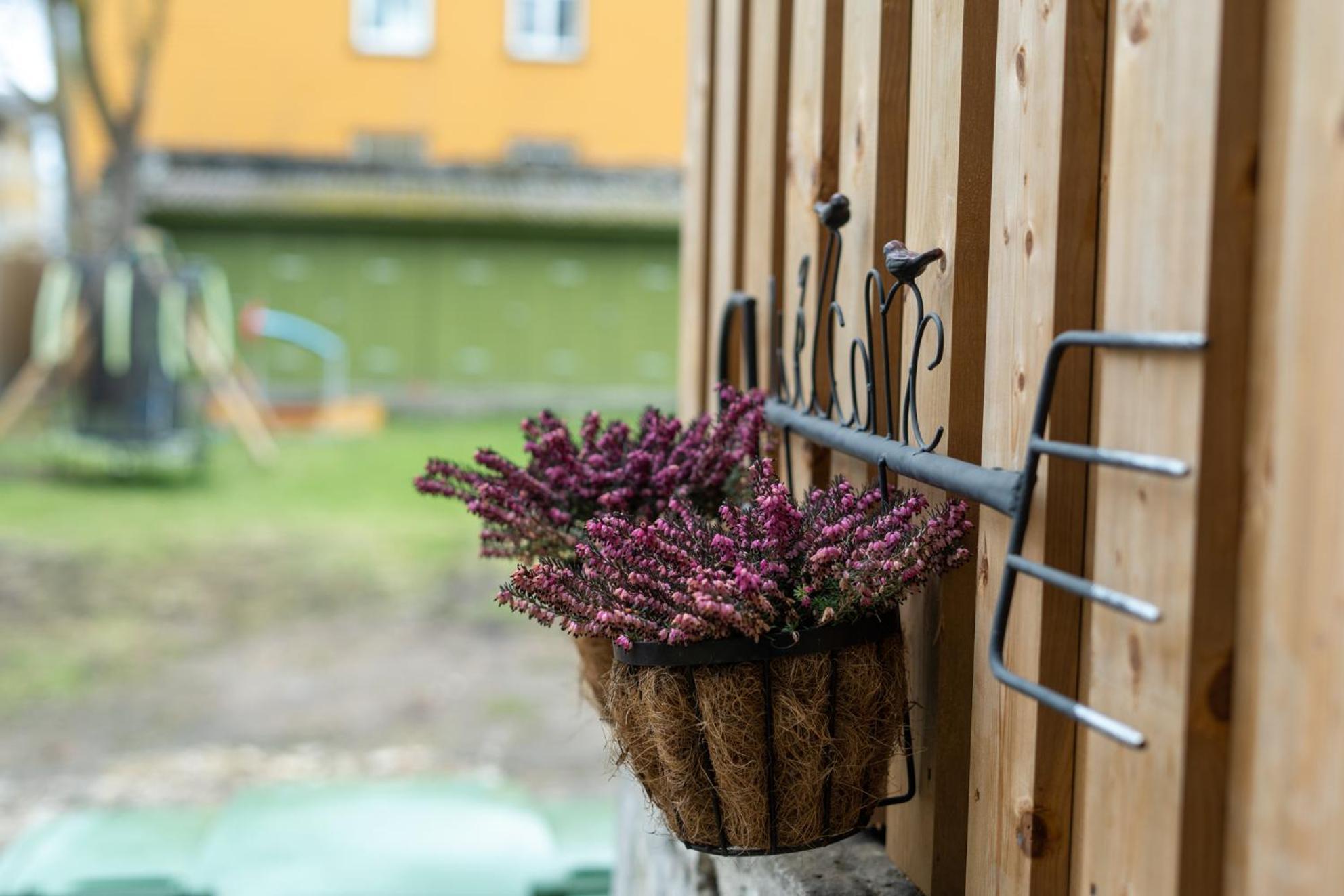 Garden Studio Next To Telliskivi & Old Town 塔林 外观 照片